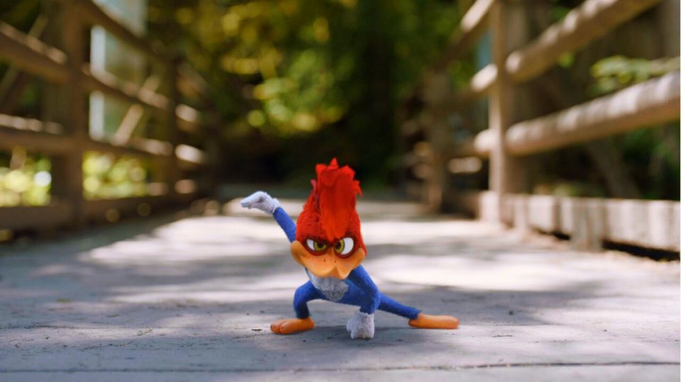 El pájaro loco