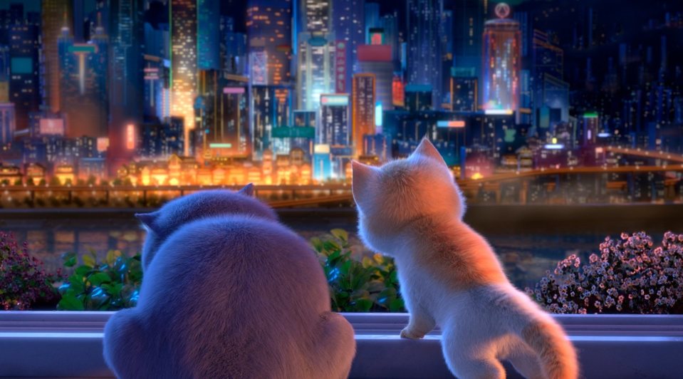 Gatos