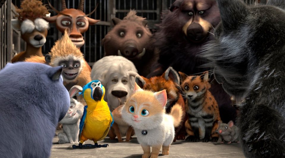 Gatos