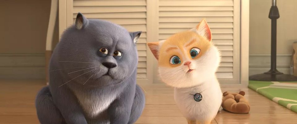 Gatos