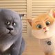 Gatos