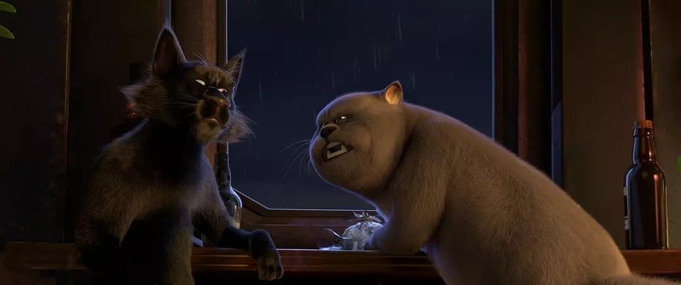 Gatos
