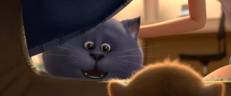 Gatos