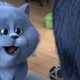 Gatos