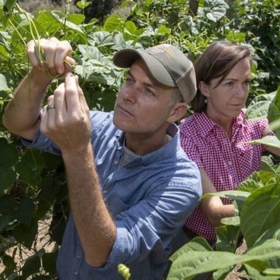 Mi gran pequeña granja
