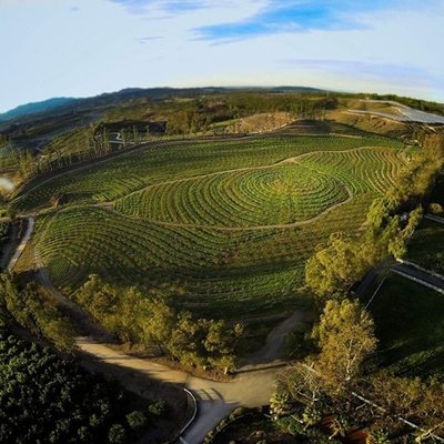 Mi gran pequeña granja