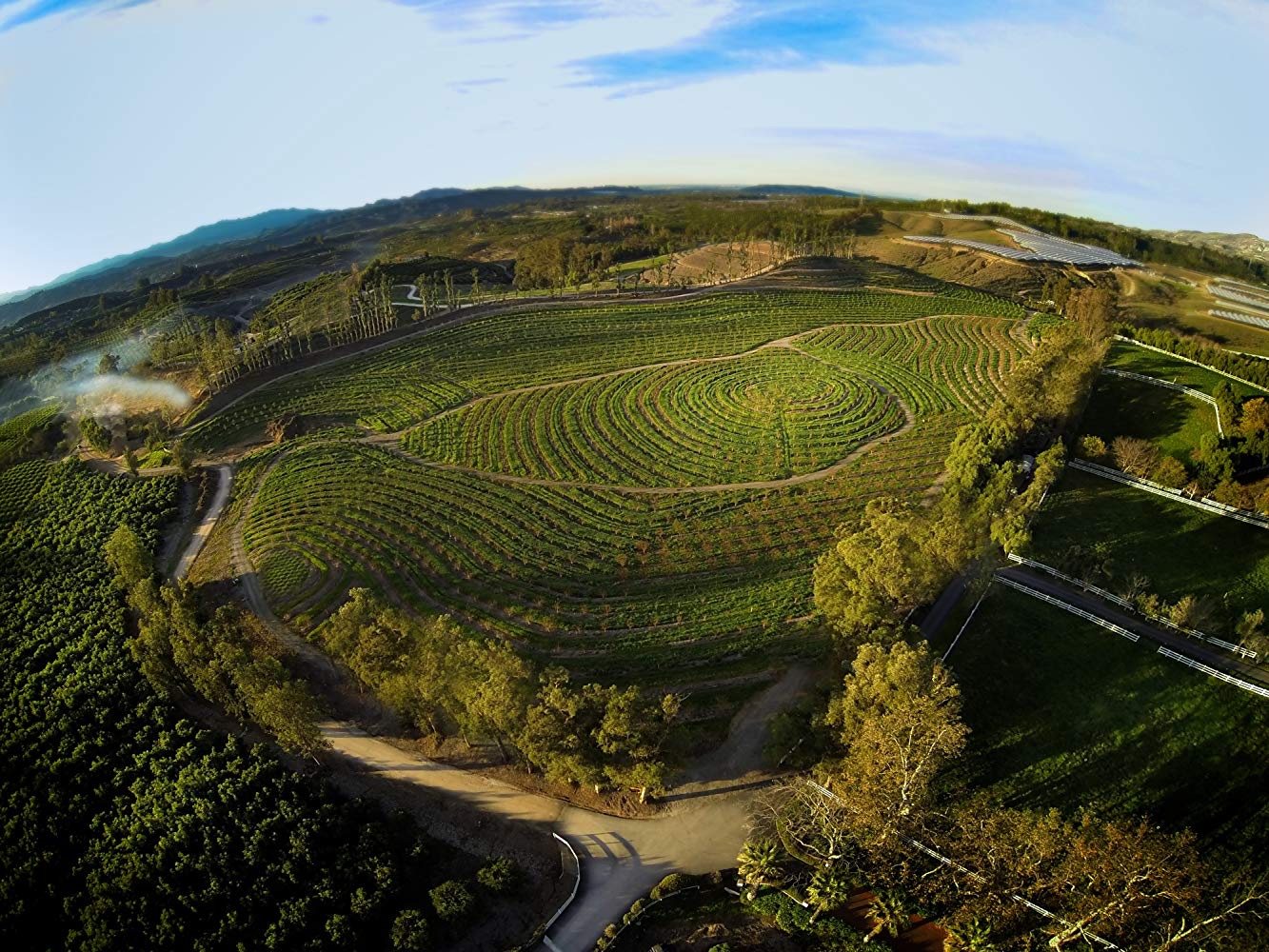 Mi gran pequeña granja
