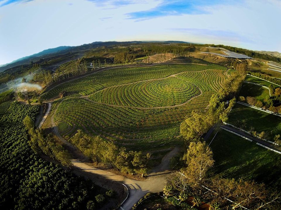 Mi gran pequeña granja