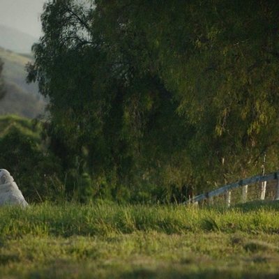 Mi gran pequeña granja