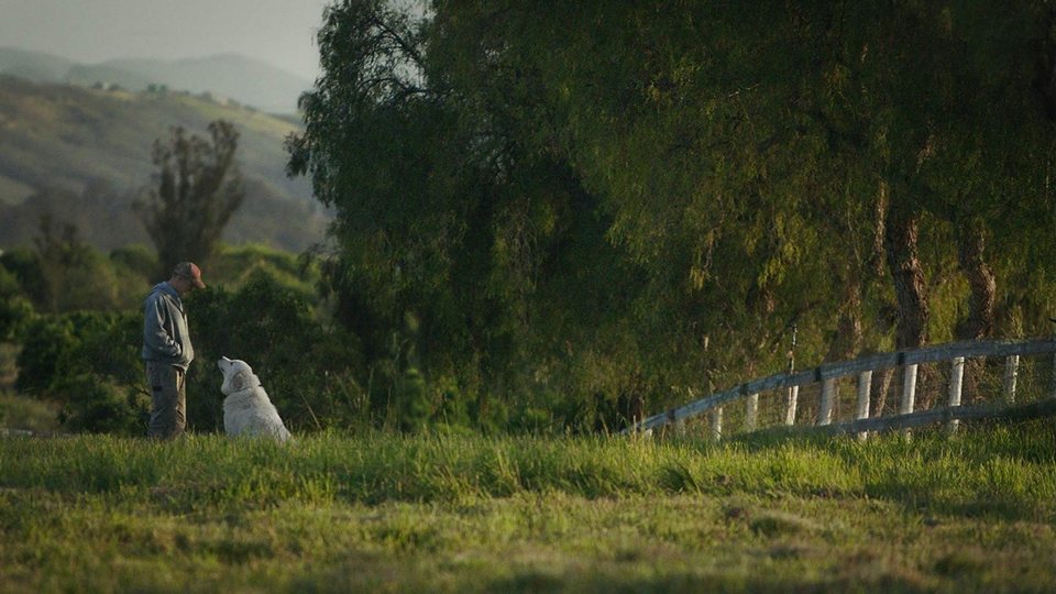 Mi gran pequeña granja