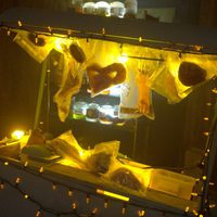 Repo! The genetic opera