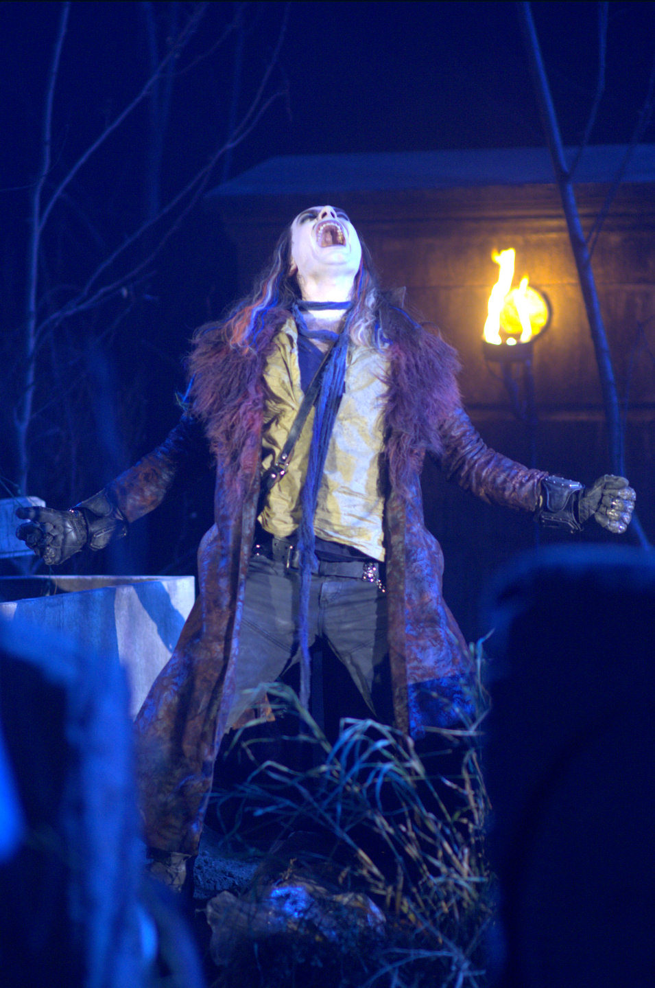 Repo! The Genetic Opera