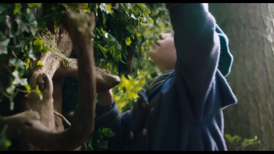 El jardín secreto