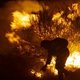 Lo que arde