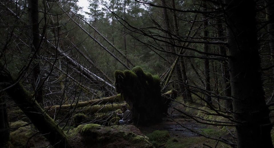 Under the Skin