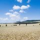 Meseta