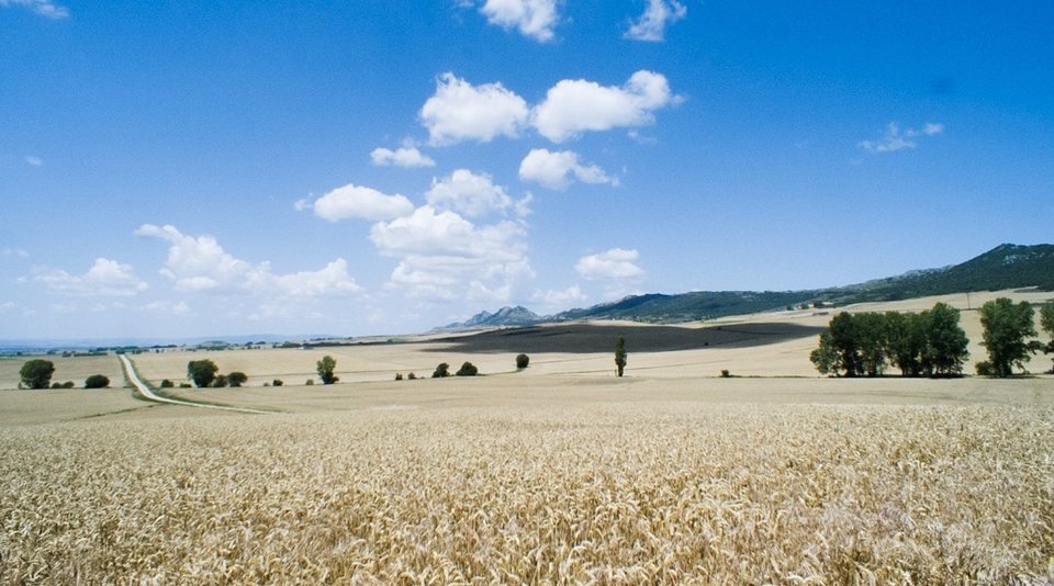 Meseta