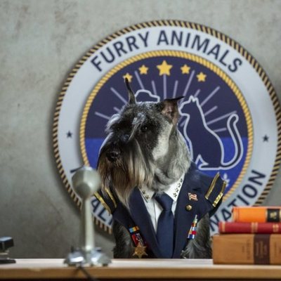 Como perros y gatos. La patrulla unida