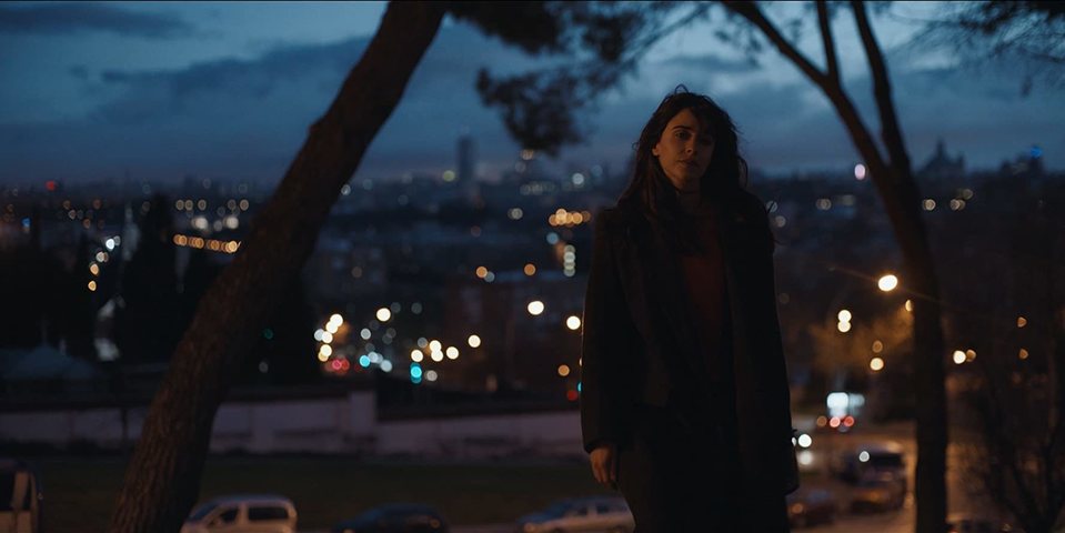 El arte de volver
