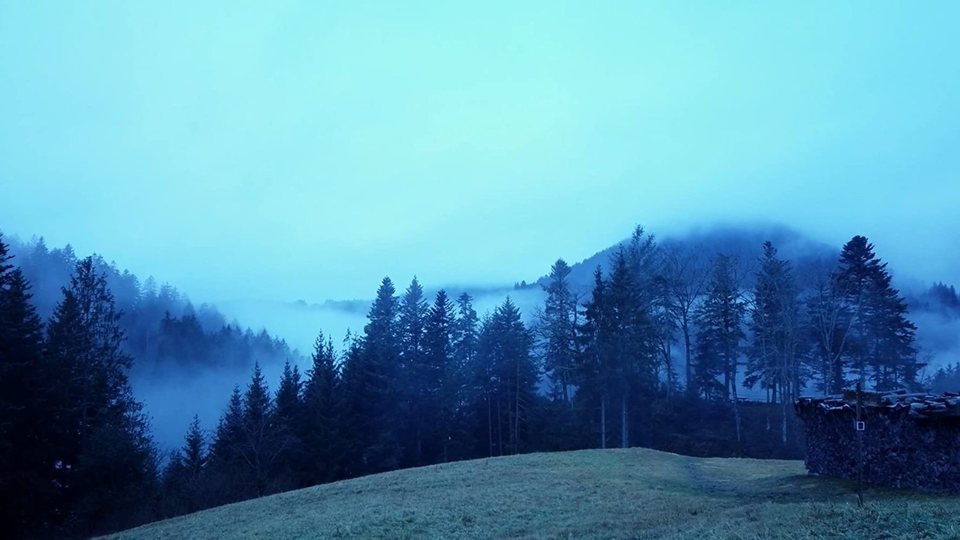 Dear Werner (Walking on Cinema)