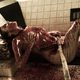 Hostel 2