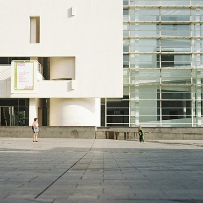 La reina de los lagartos