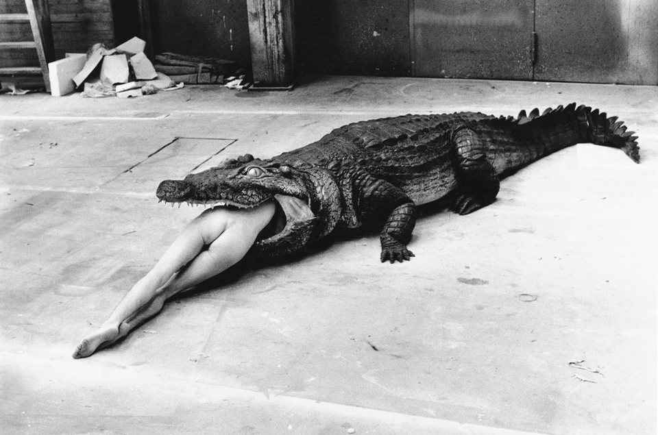 Helmut Newton: The Bad and the Beautiful
