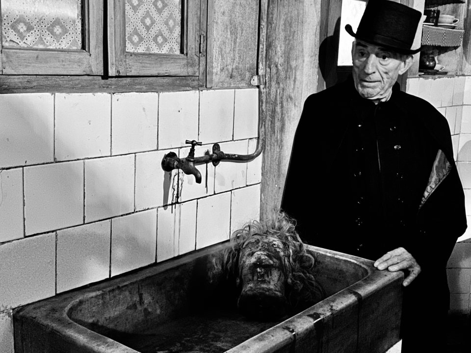 Vampus Horror Tales