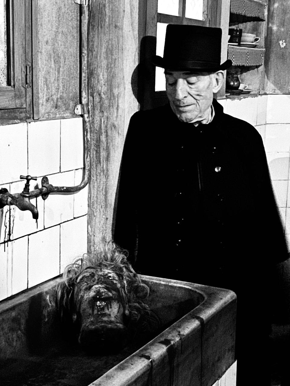 Vampus Horror Tales