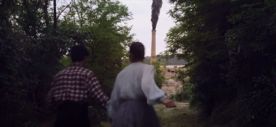 Terra de telers (Memoria de telares)