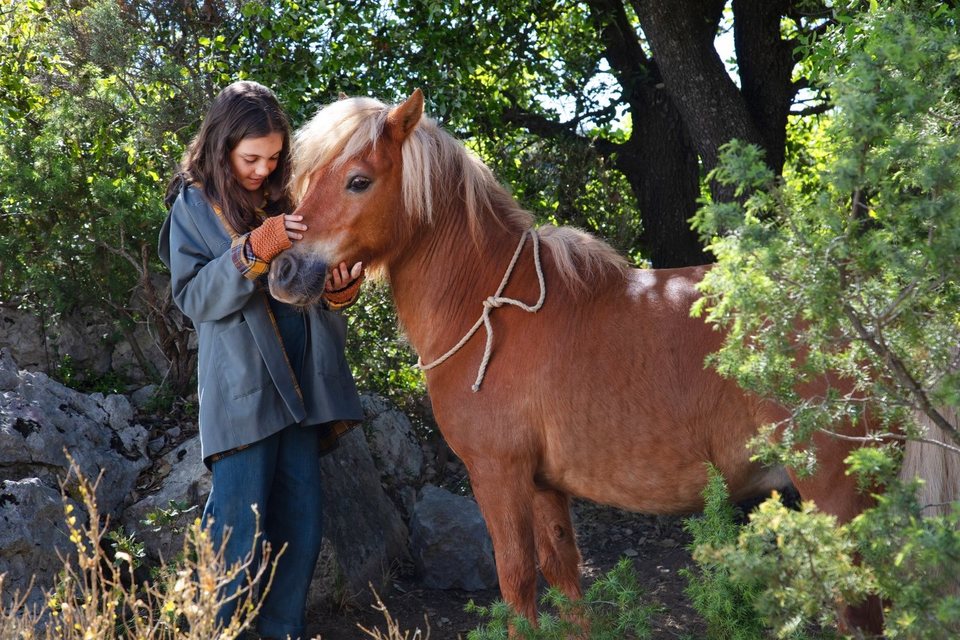 Mi amigo Pony
