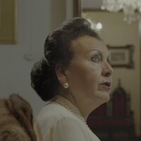 Destello Bravío