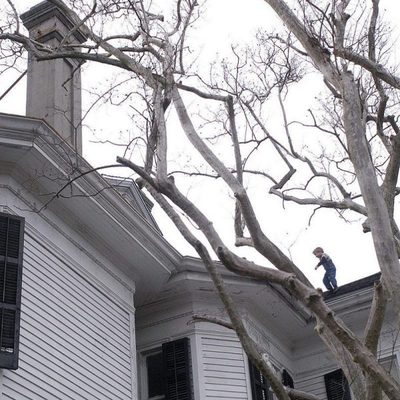 El curioso caso de Benjamin Button