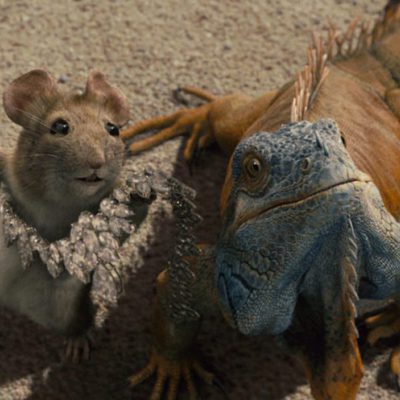 Un Chihuahua en Beverly Hills