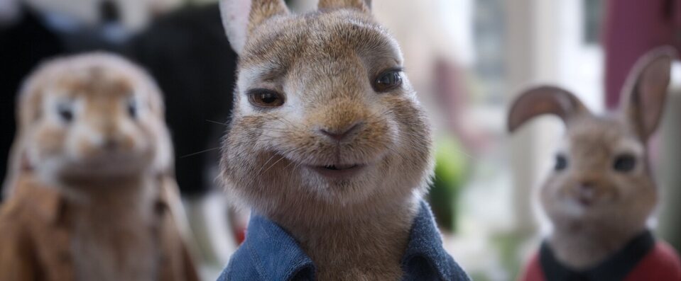 Peter Rabbit 2: A la fuga