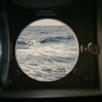 La metamorfosis de los pájaros