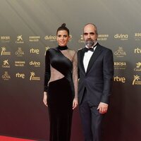 Luis Tósar en la alfombra roja de la 36 edición de los Premios Goya