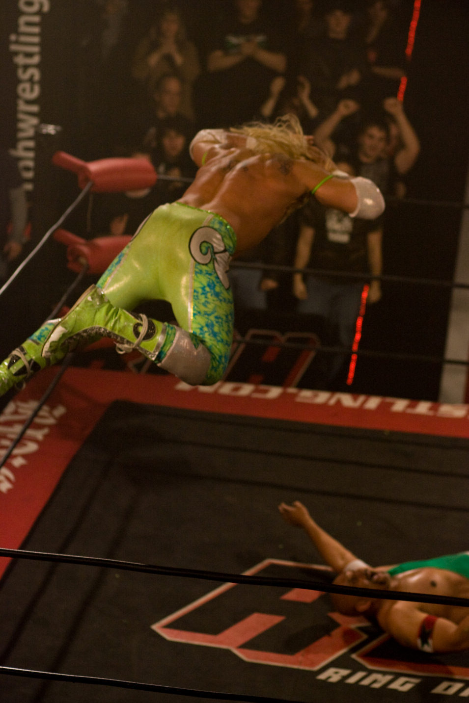 El luchador