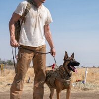 Dog. Un viaje salvaje