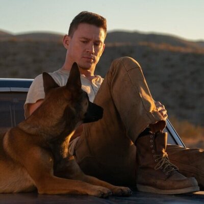 Dog. Un viaje salvaje