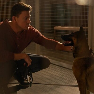 Dog. Un viaje salvaje