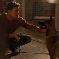 Dog. Un viaje salvaje