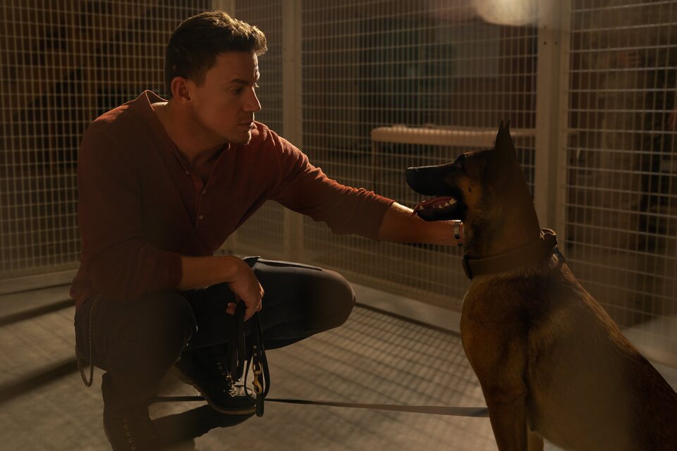 Dog. Un viaje salvaje