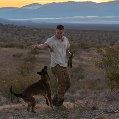 Dog. Un viaje salvaje