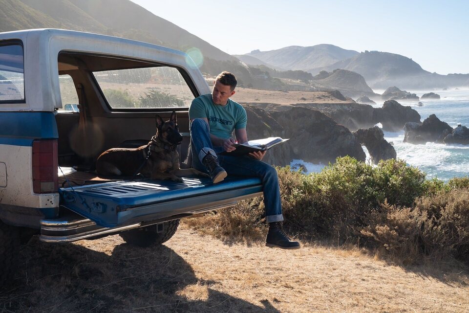 Dog. Un viaje salvaje