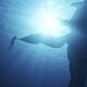 Avatar: El sentido del agua
