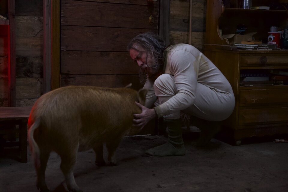 Pig