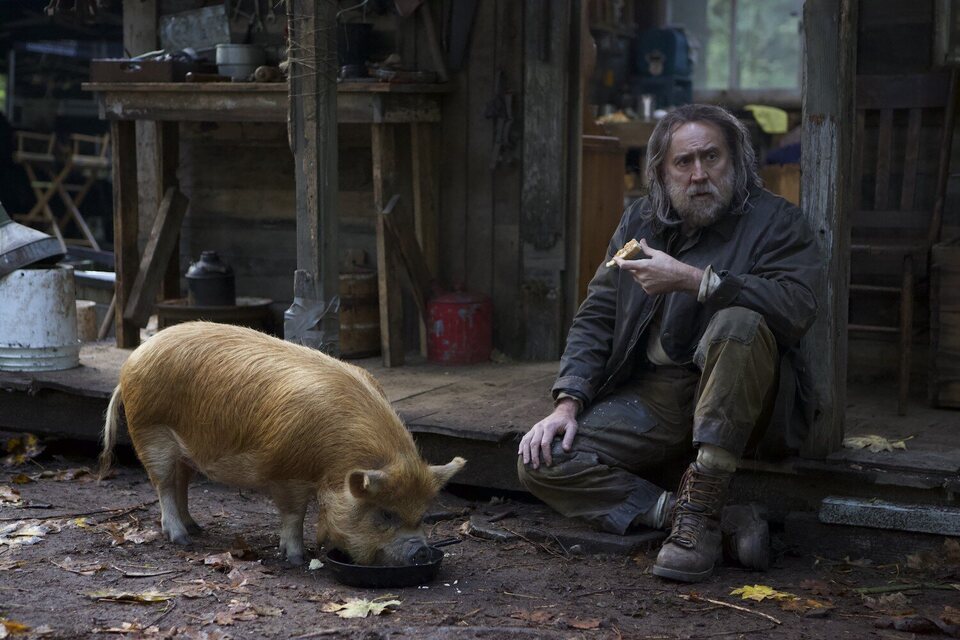 Pig