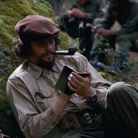 Che, Guerrilla