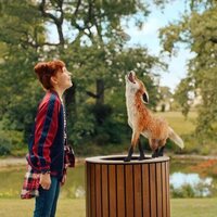 El colegio de los animales mágicos